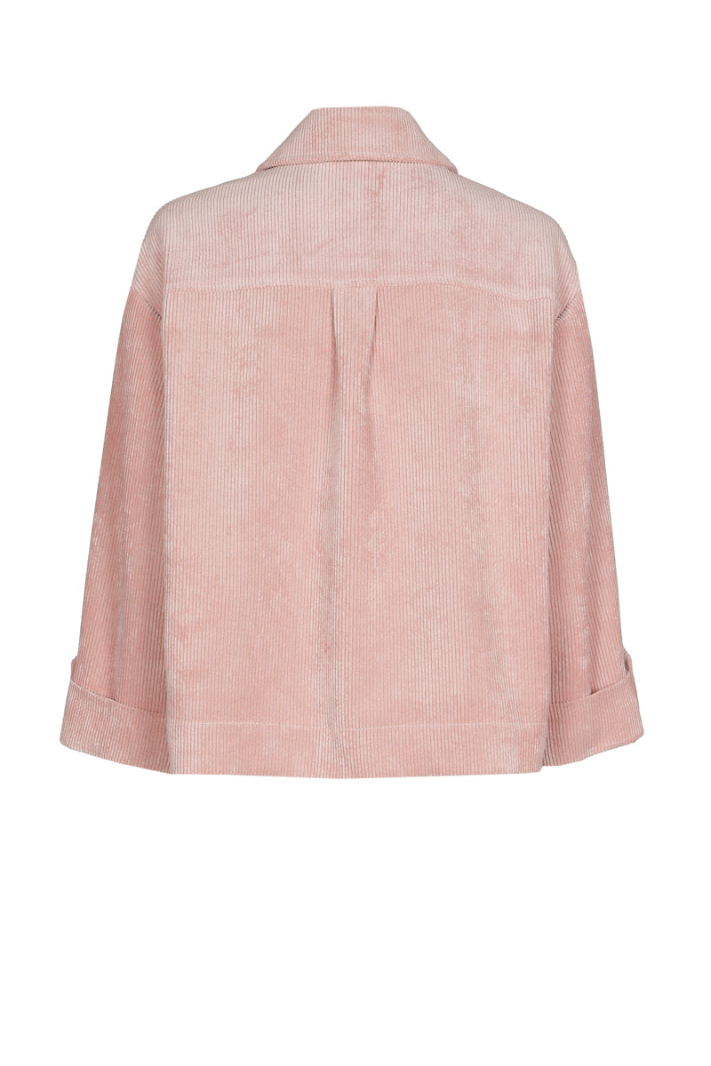 Roze bloesjasje in velours